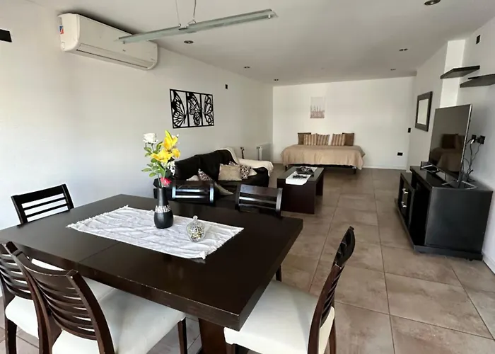 Depto 3 amb zona Guemes con cochera, parrilla y terraza propia de temporada